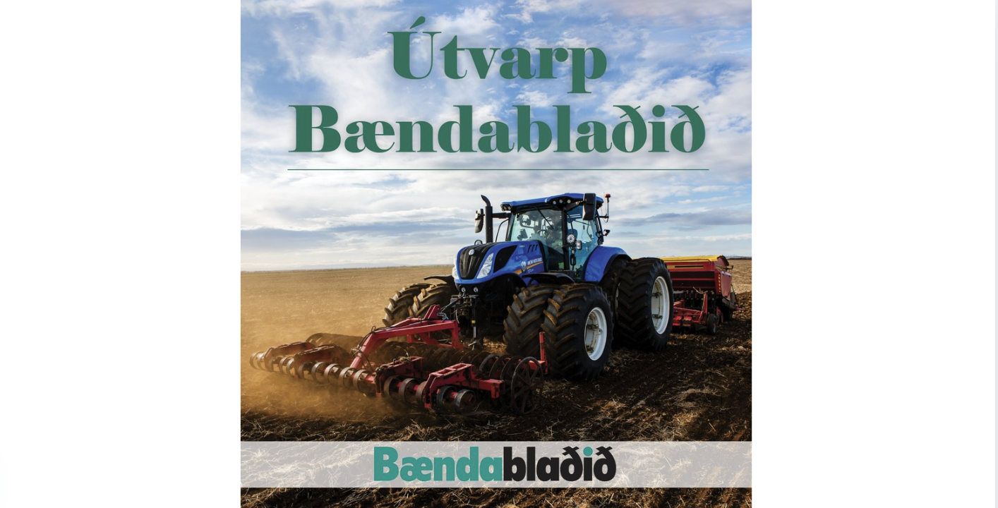 Útvarp Bændablaðsins - annar þáttur