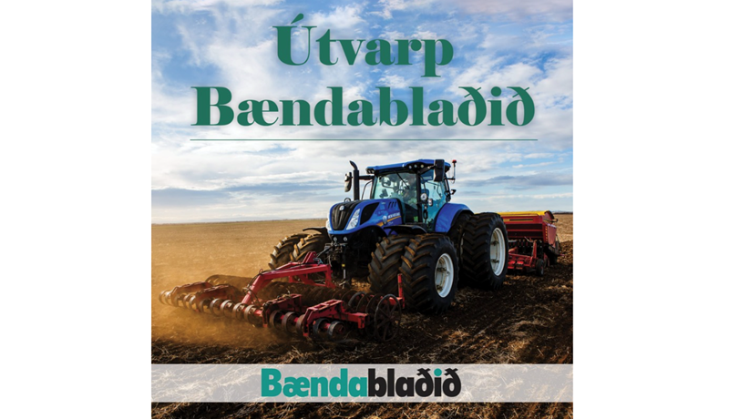 Útvarp Bændablaðið, 5. þáttur