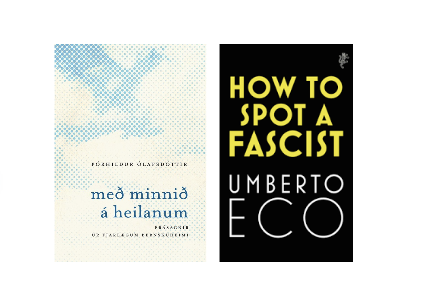 Brot af glötuðum heimi og kennimörk fasismans