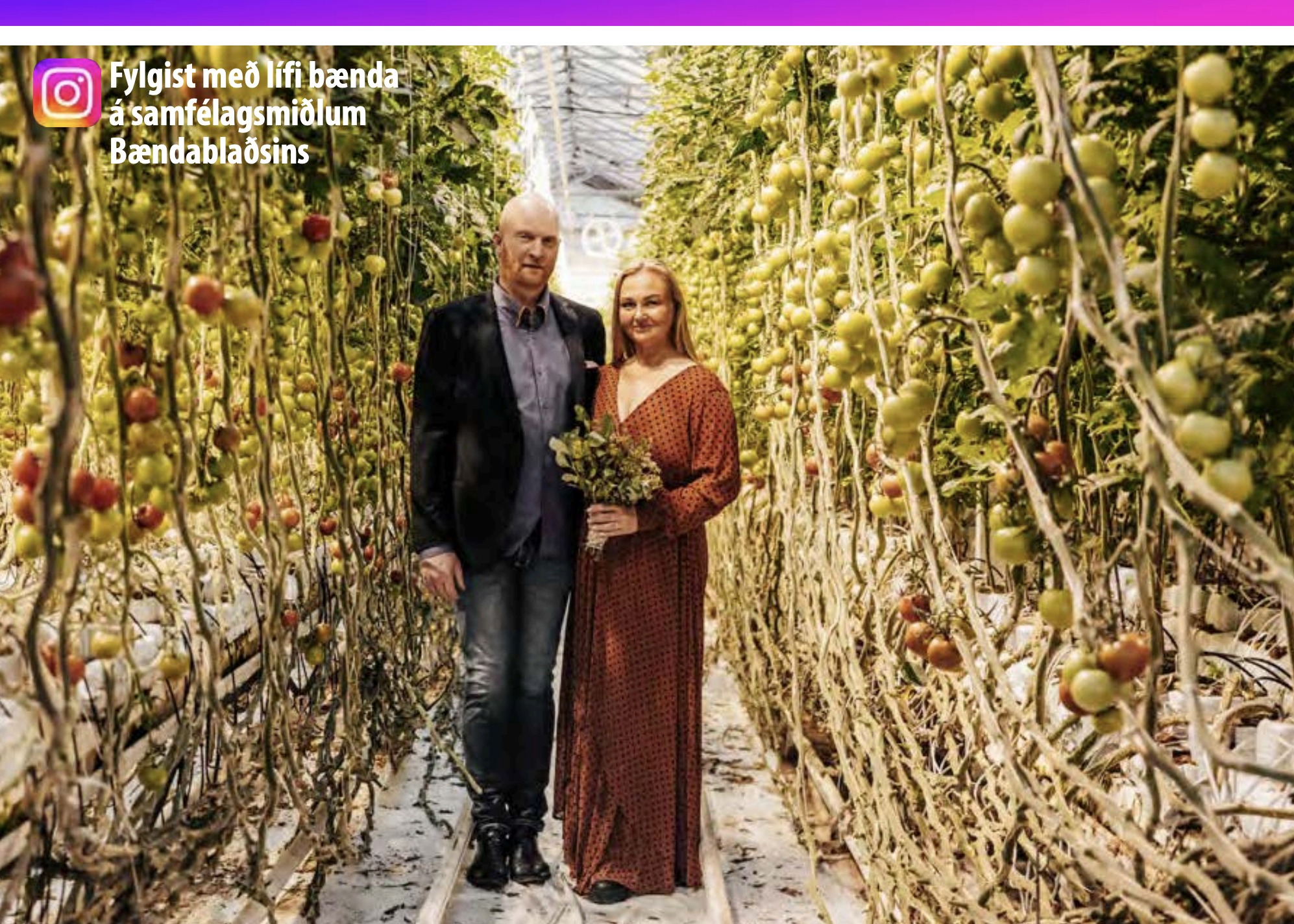 Miklir framt&#237;&#240;arm&#246;guleikar