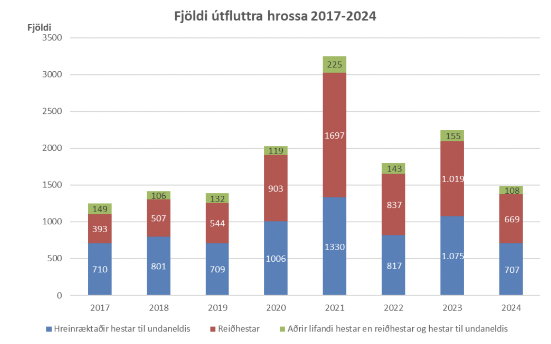 Aukinn útflutningur á reiðhestum