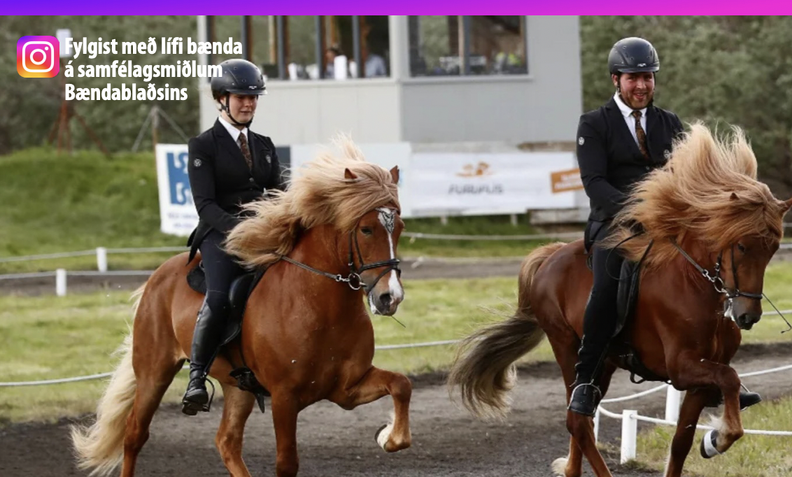 Hrossin eiga hug &#254;eirra allan