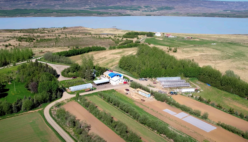 Feitur maður fótbrotnar