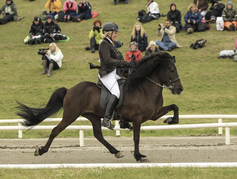Álfhildur frá Syðri-Gegnishólum, knapi er Olil Amble ræktandi og eigandi Álfhildar