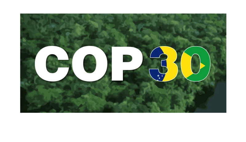 Togstreita milli ríkja á COP30