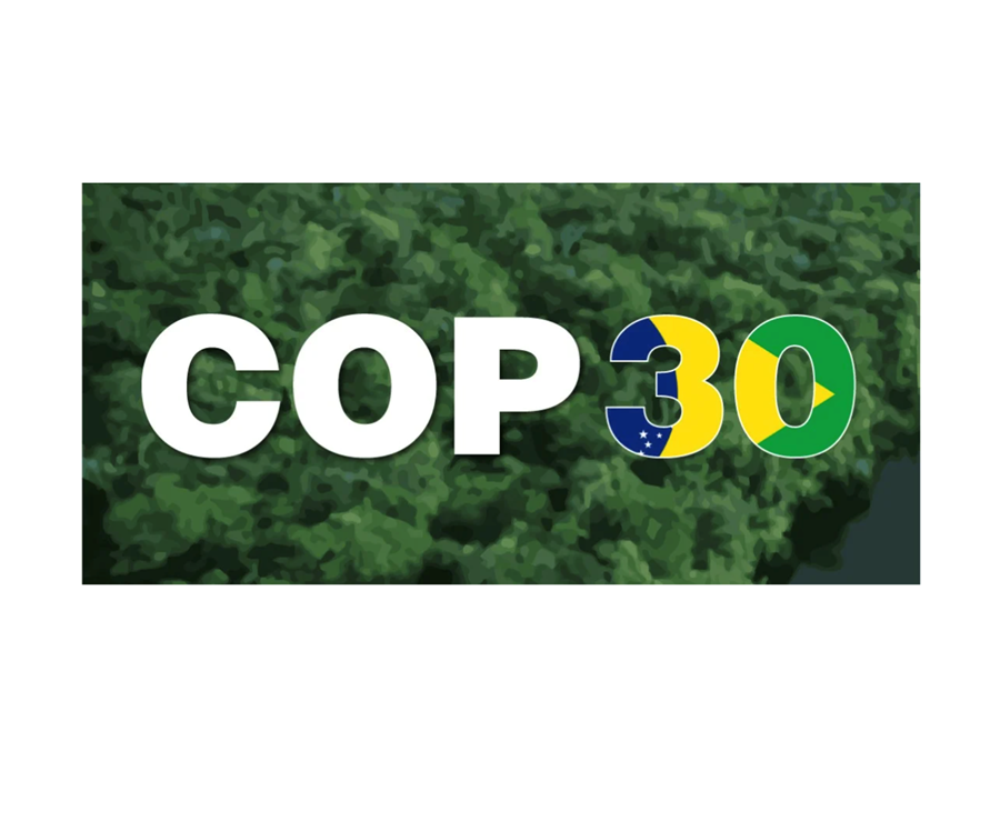 Togstreita milli ríkja á COP30