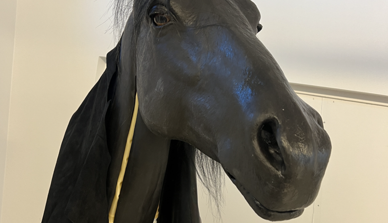 Munu sækjast eftir nýju blóðtökuleyfi