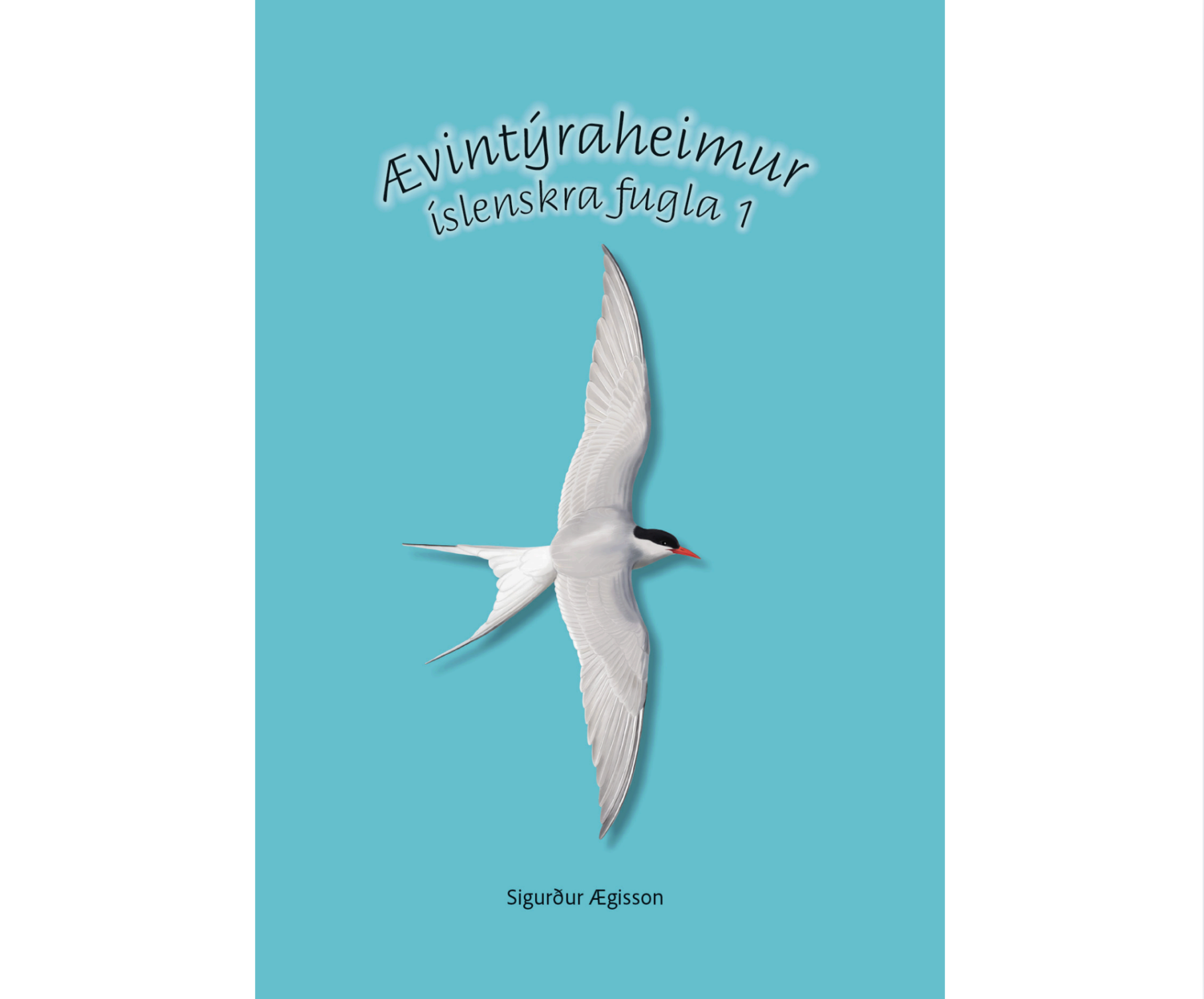 N&#253; barnab&#243;k um &#237;slenska fugla