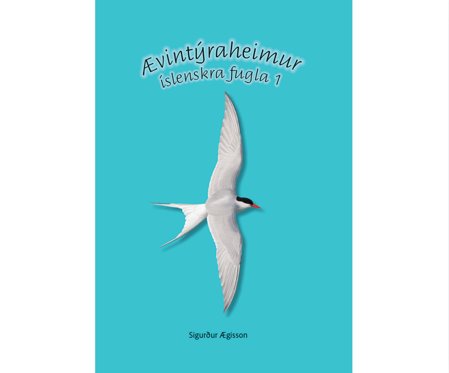 Ný barnabók um íslenska fugla