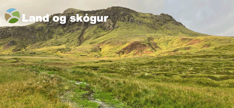 Ávaxtaðu jarðveginn þinn