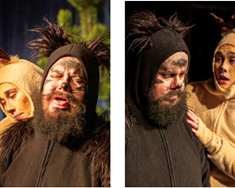 Jólakötturinn í Freyvangi