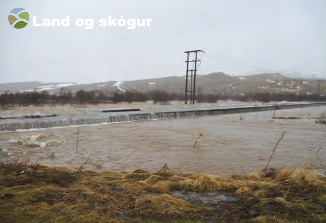 Jarðvegsdagurinn 2025