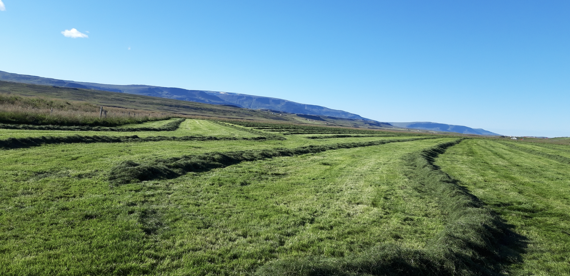 Nákvæmnisbúskapur – sóknarfæri fyrir íslenskan landbúnað