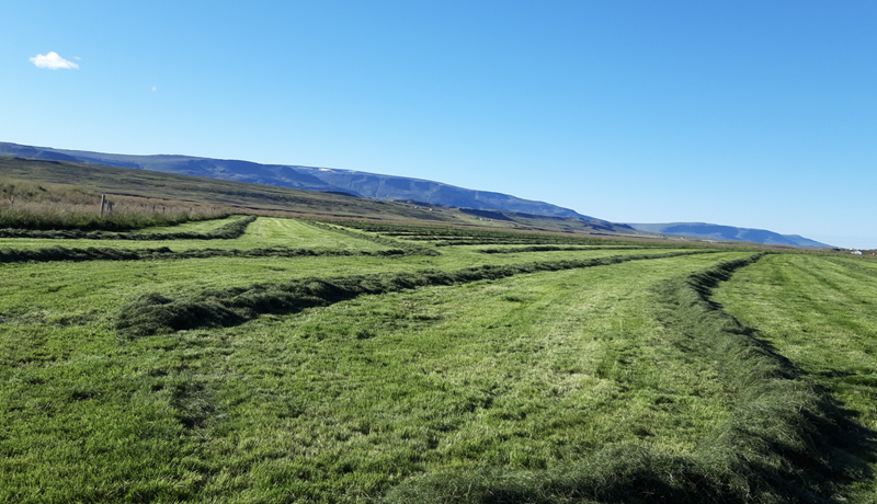 Nákvæmnisbúskapur – sóknarfæri fyrir íslenskan landbúnað