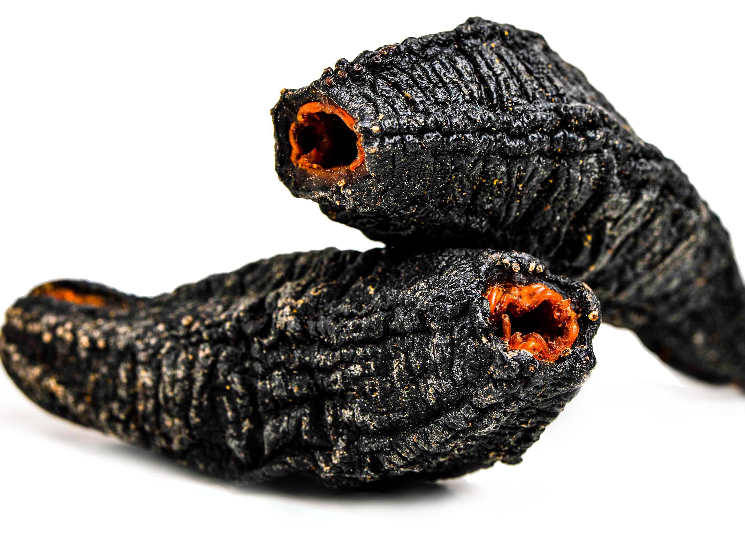 Ólöglegar veiðar á sæbjúgum hala inn milljónum