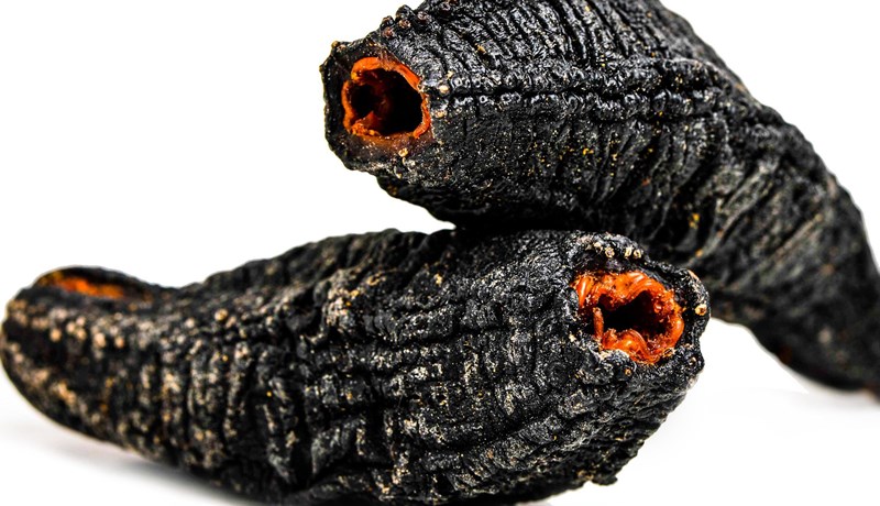 Ólöglegar veiðar á sæbjúgum hala inn milljónum