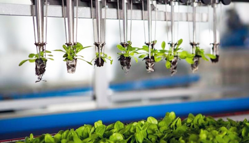 BASF kaupir matjurtafræja- og efnaframleiðsludeild Bayer