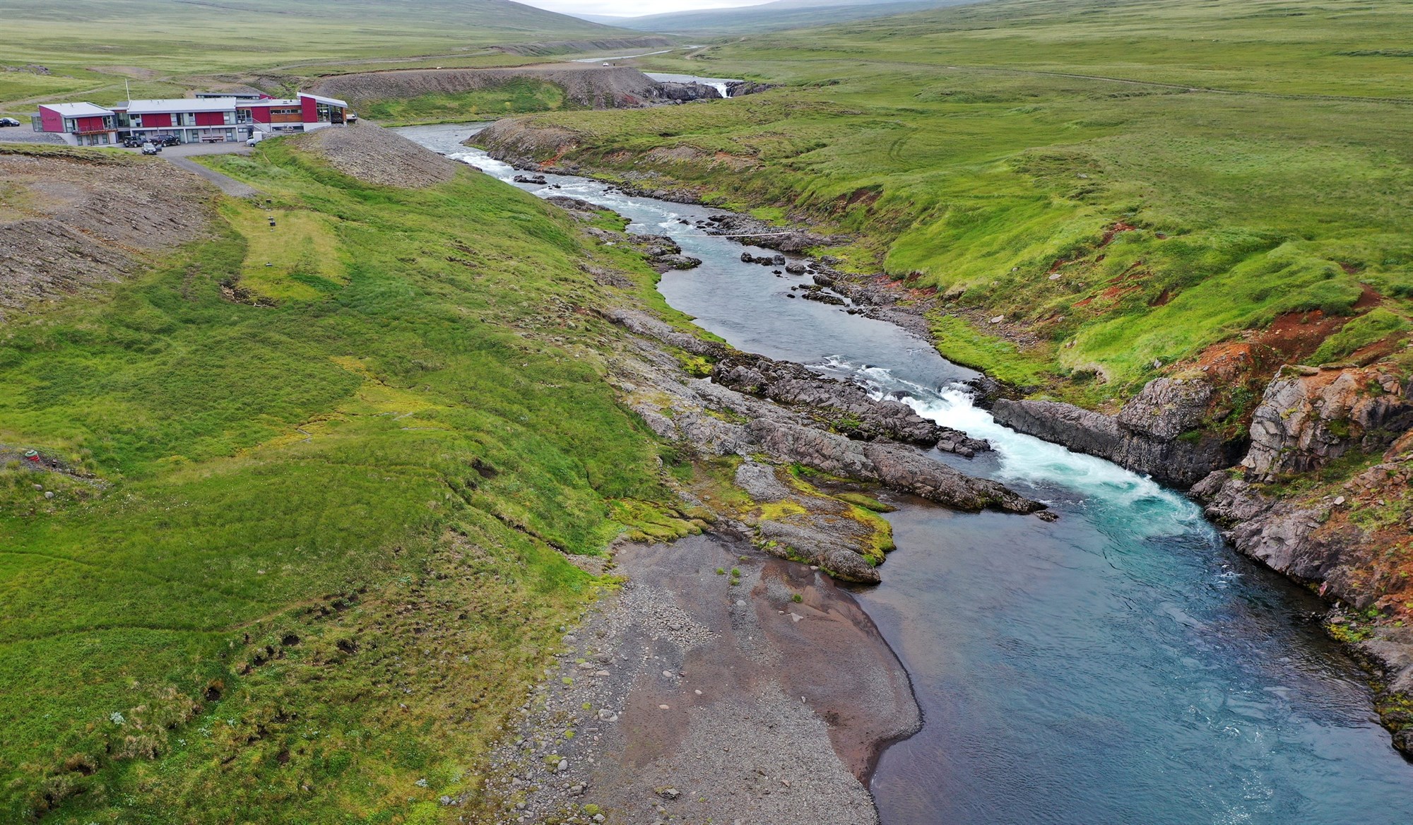 Planta hálfri milljón trjáa næstu fimm árin