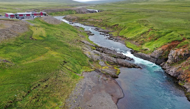 Planta hálfri milljón trjáa næstu fimm árin