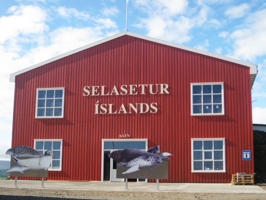 Metár hjá Selasetrinu