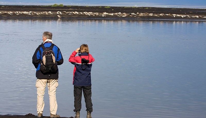 Tæplega 700.000 ferðamenn frá áramótum