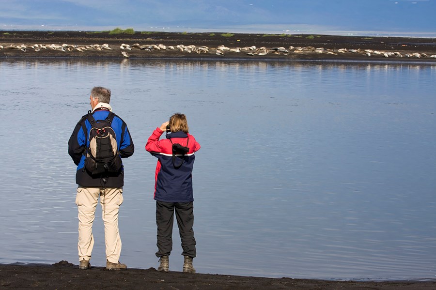 Selaskoðun. Mynd / Selasetrið á Hvammstanga.