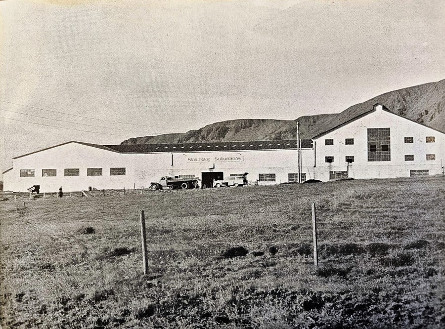 Núverandi afurðastöð SS, árið 1946 þegar hún var tekin í notkun.