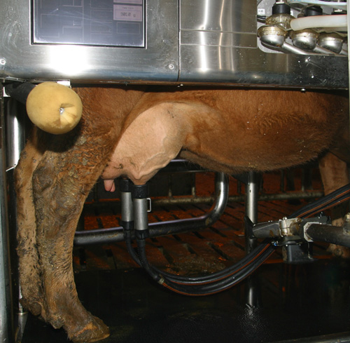 Markviss bei&#240;slisgreining eykur ar&#240;semi