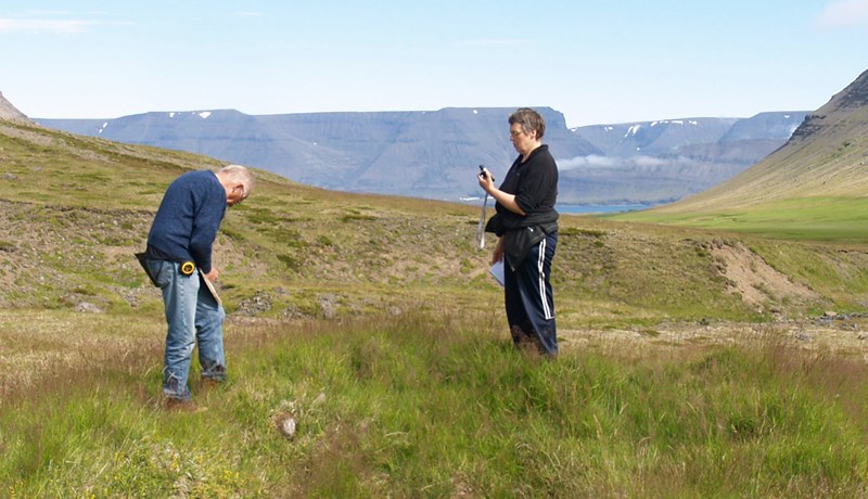 Sel og selstöður í Dýrafirði