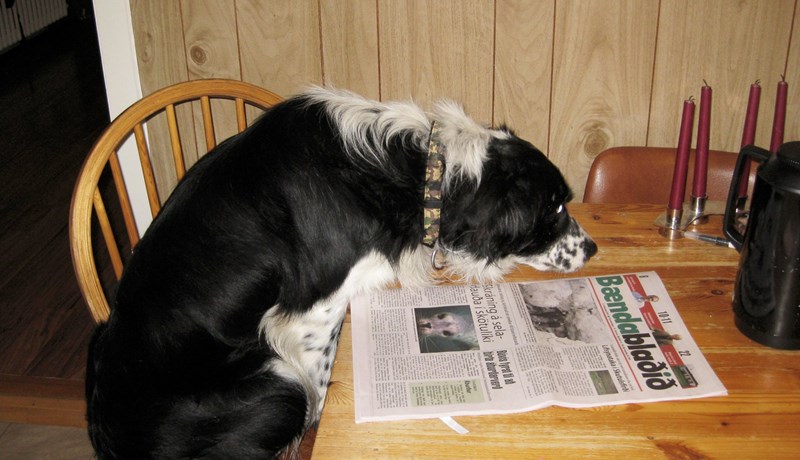 Starfssvæði dýralækna verði endurskoðað