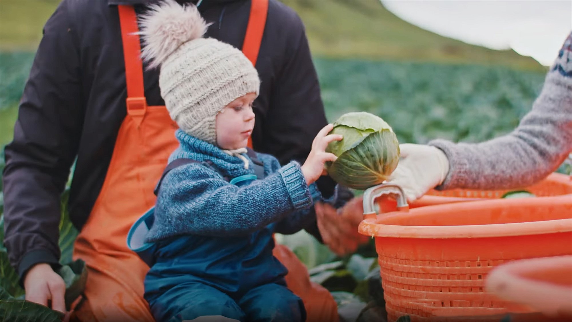 Íslenskt grænmeti stendur fyrir – GÆÐI BEINT FRÁ BÓNDA