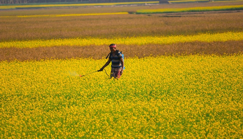 Ísland er í 154 sæti af 160 þjóðum með eina allra minnstu eiturefnanotkun á heimsvísu
