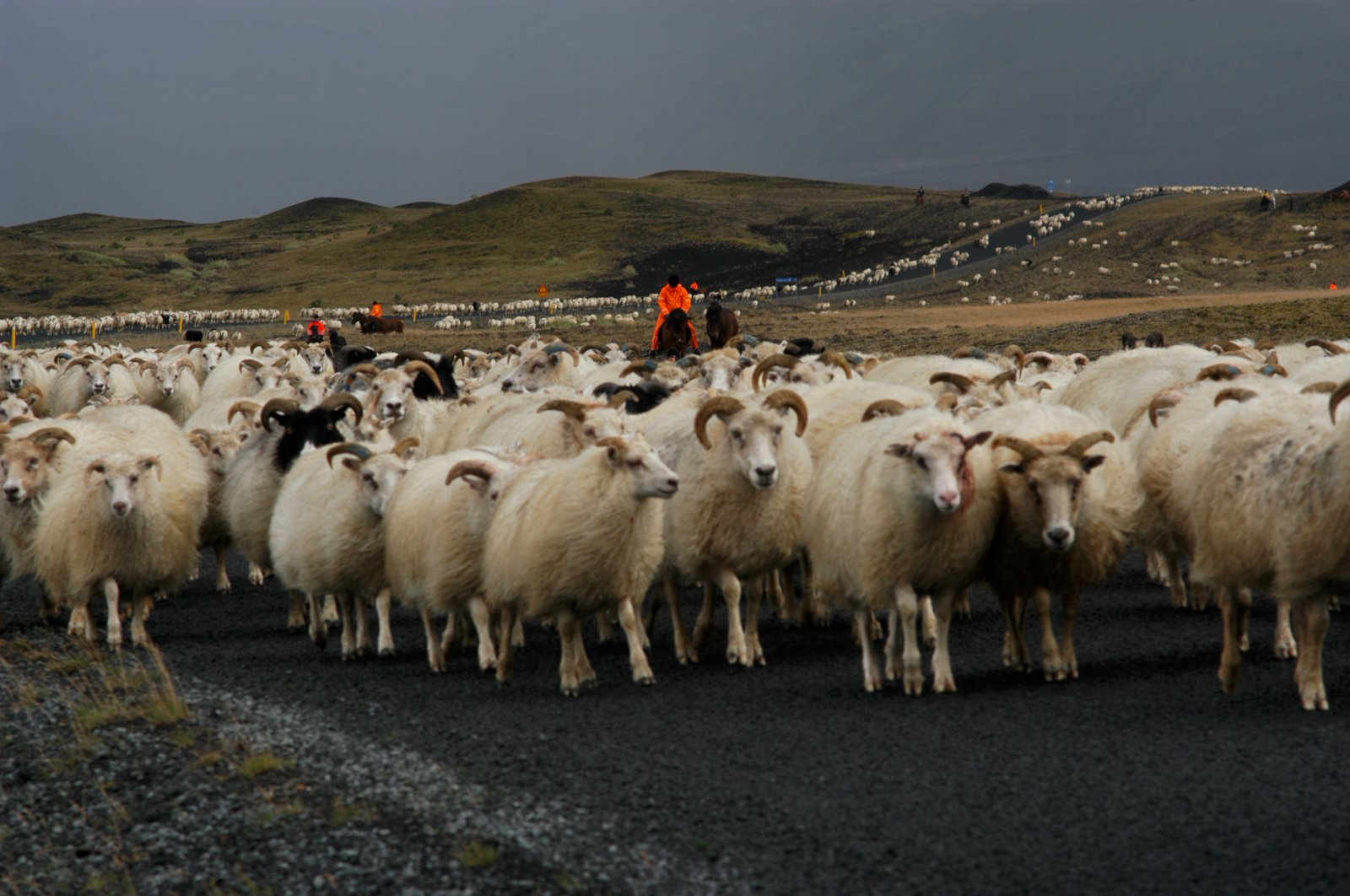 Góð innanlandssala en krísa í útflutningi