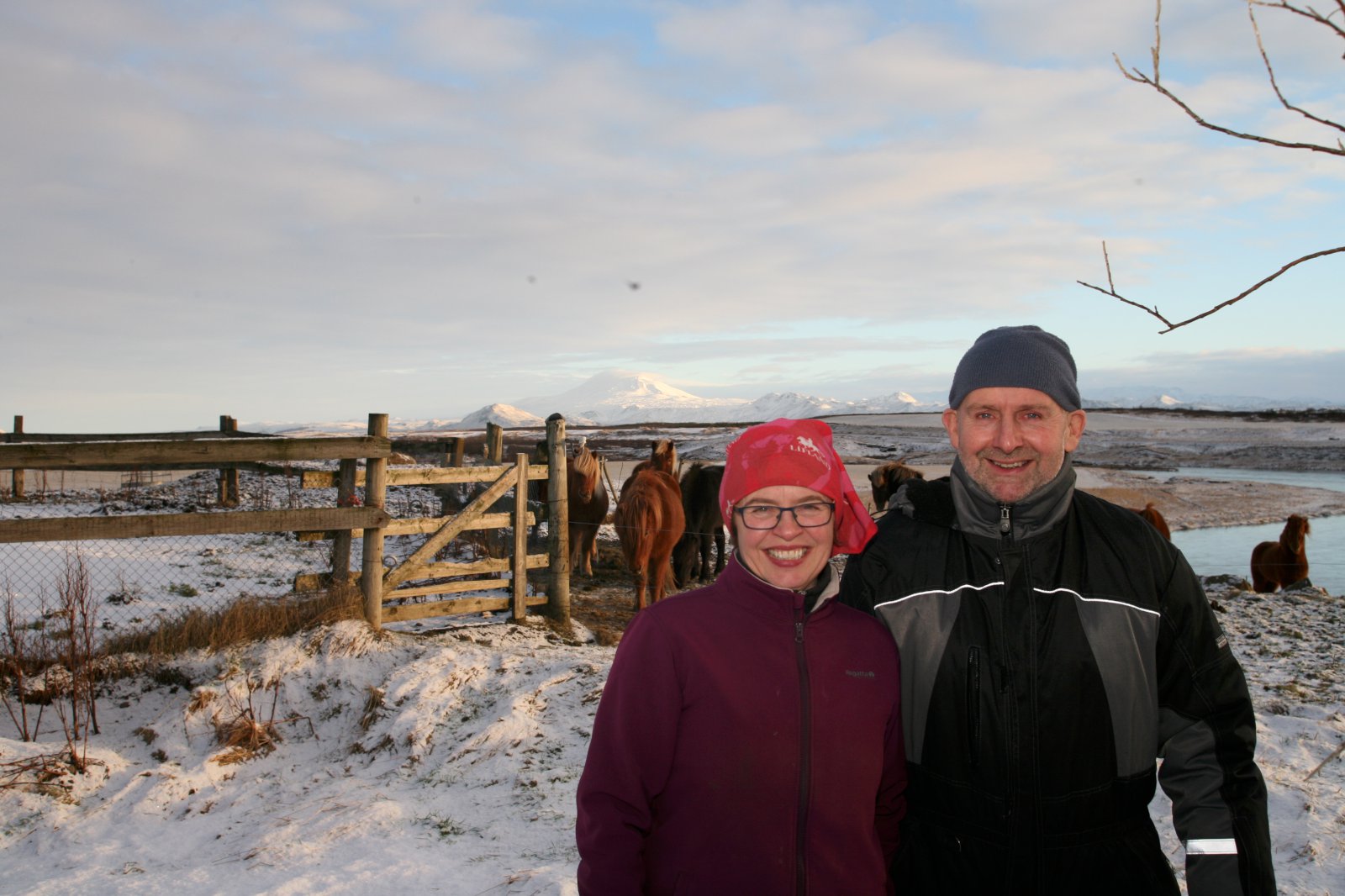 Flangsvesenoglætiklanka