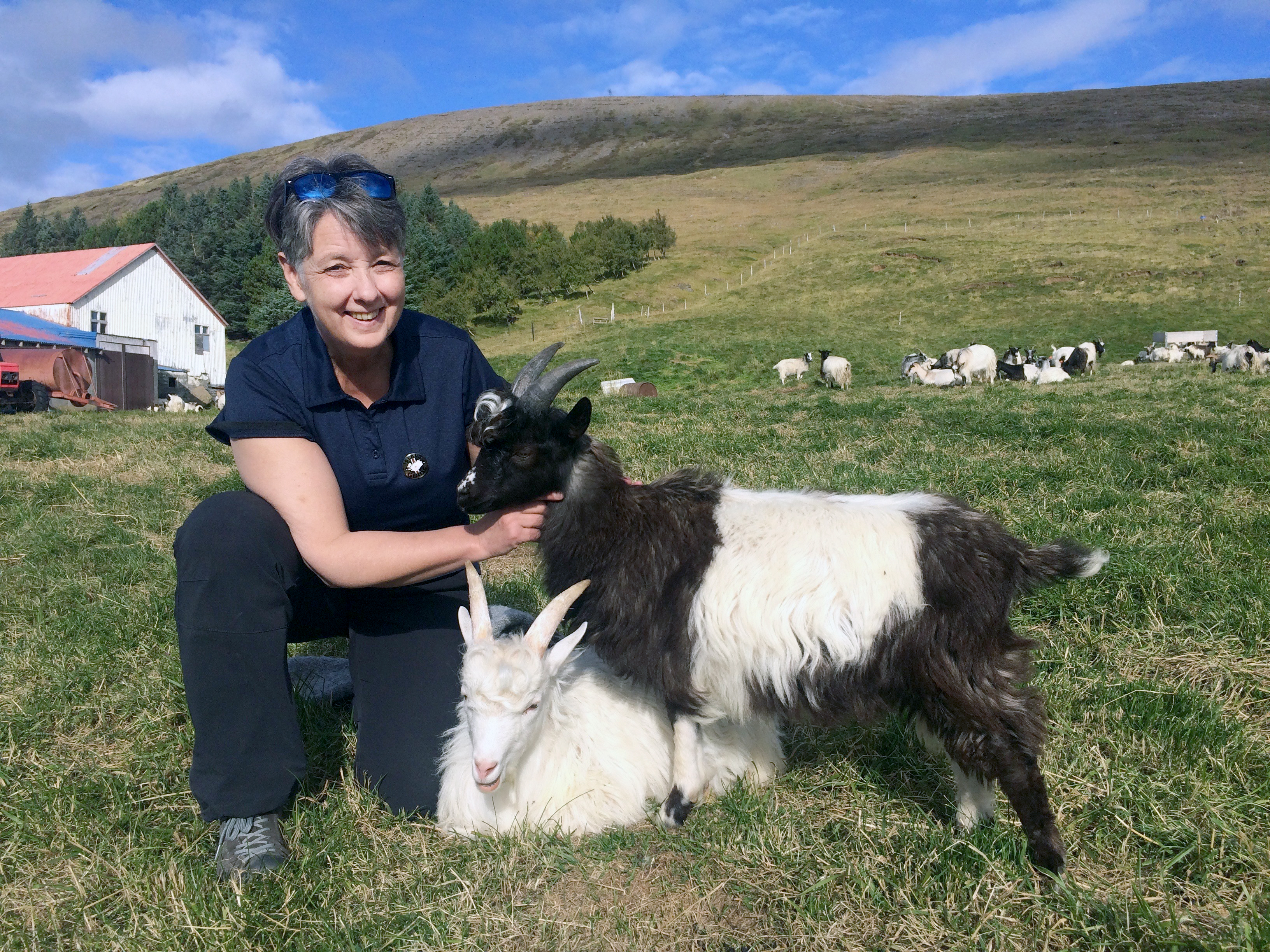 Bændaheimsóknirnar vinsælastar