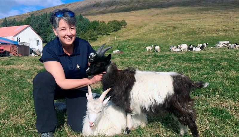 Bændaheimsóknirnar vinsælastar