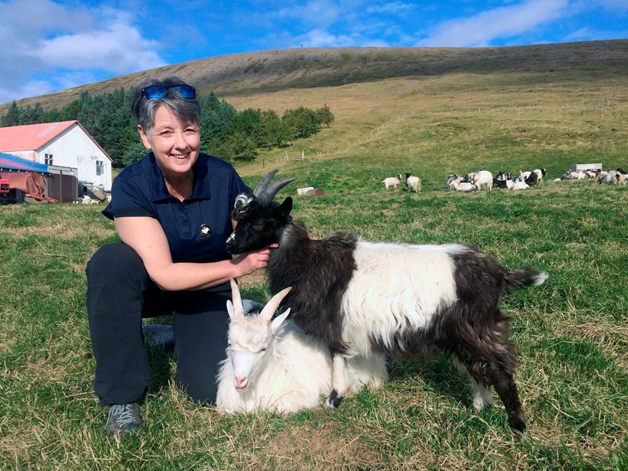 Sigríður Anna Ásgeirsdóttir rekur matarferðaþjónustu og fer með ferðamenn í heimsókn til bænda.