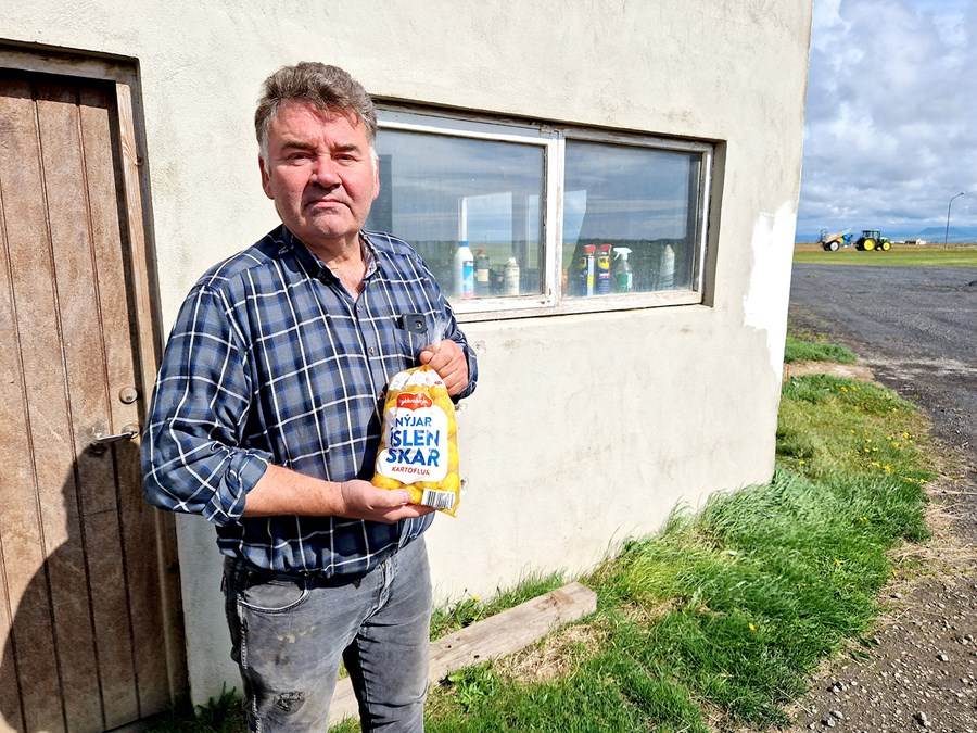 Sigurbjartur Pálsson, kartöflubóndi, heldur á kartöflum sem teknar voru upp fyrr um daginn.