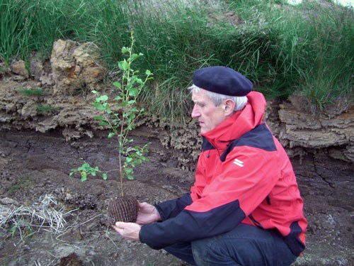 Svepprótasmitaðar trjáplöntur lifa og vaxa betur