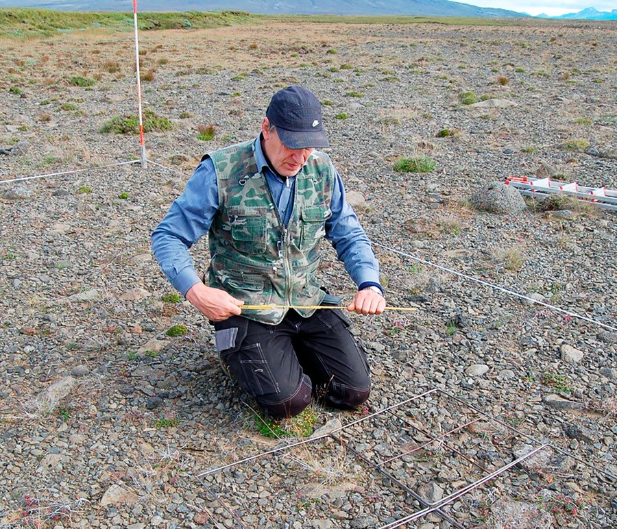 Greinarhöfundur, Sigurður H. Magnússon gróðurvistfræðingur, við rannsóknir á hálendinu.