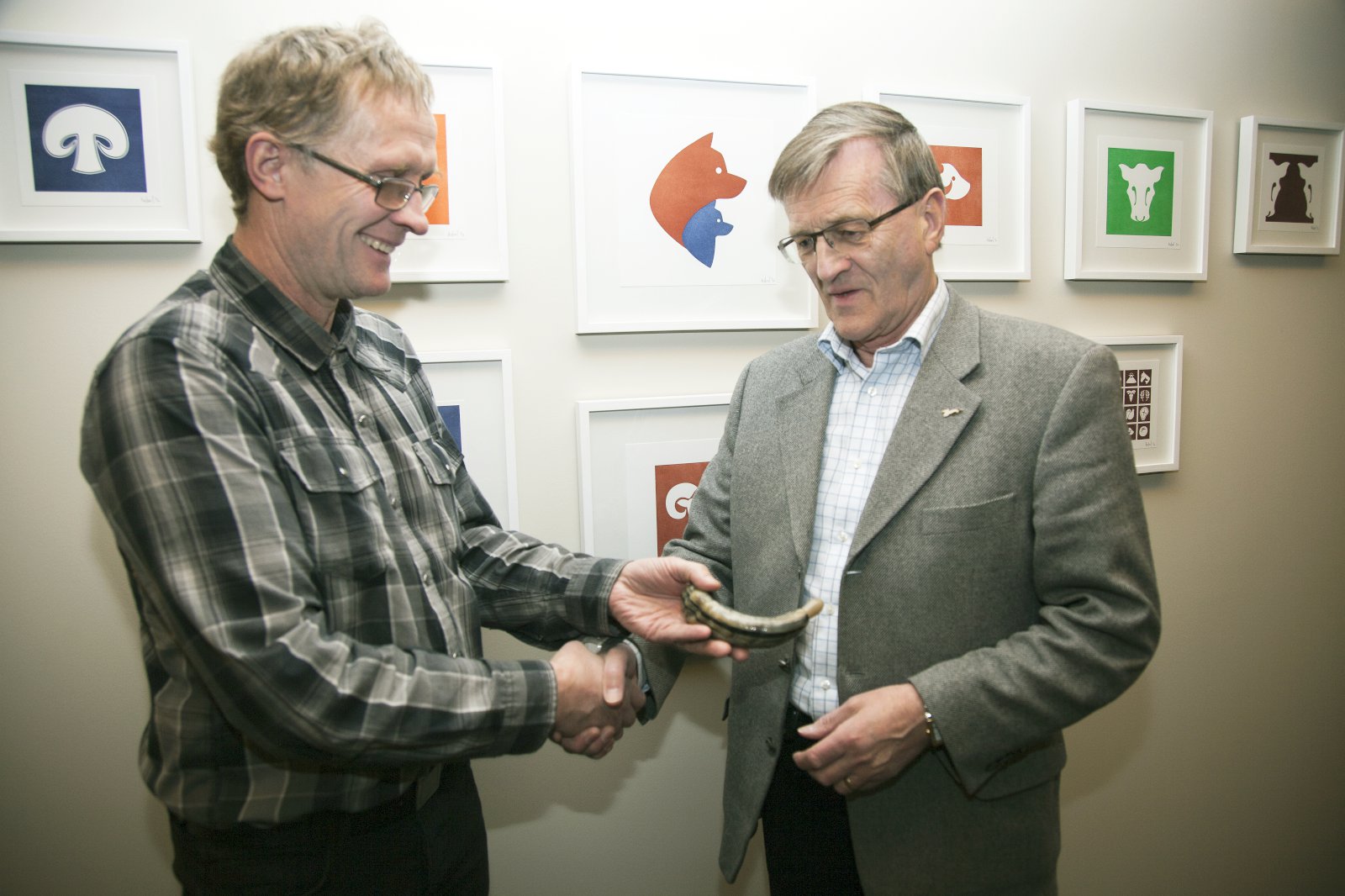 Árna afhent tóbakshorn