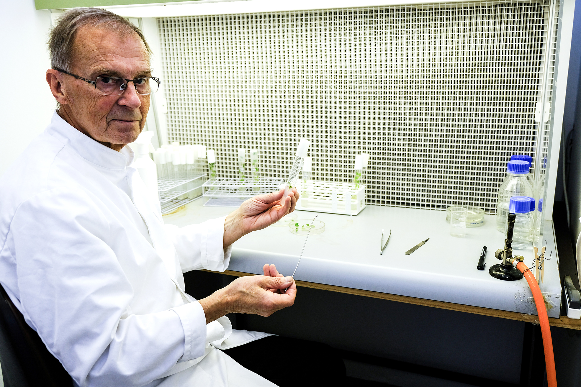 Bjargaði íslensku kartöflunum