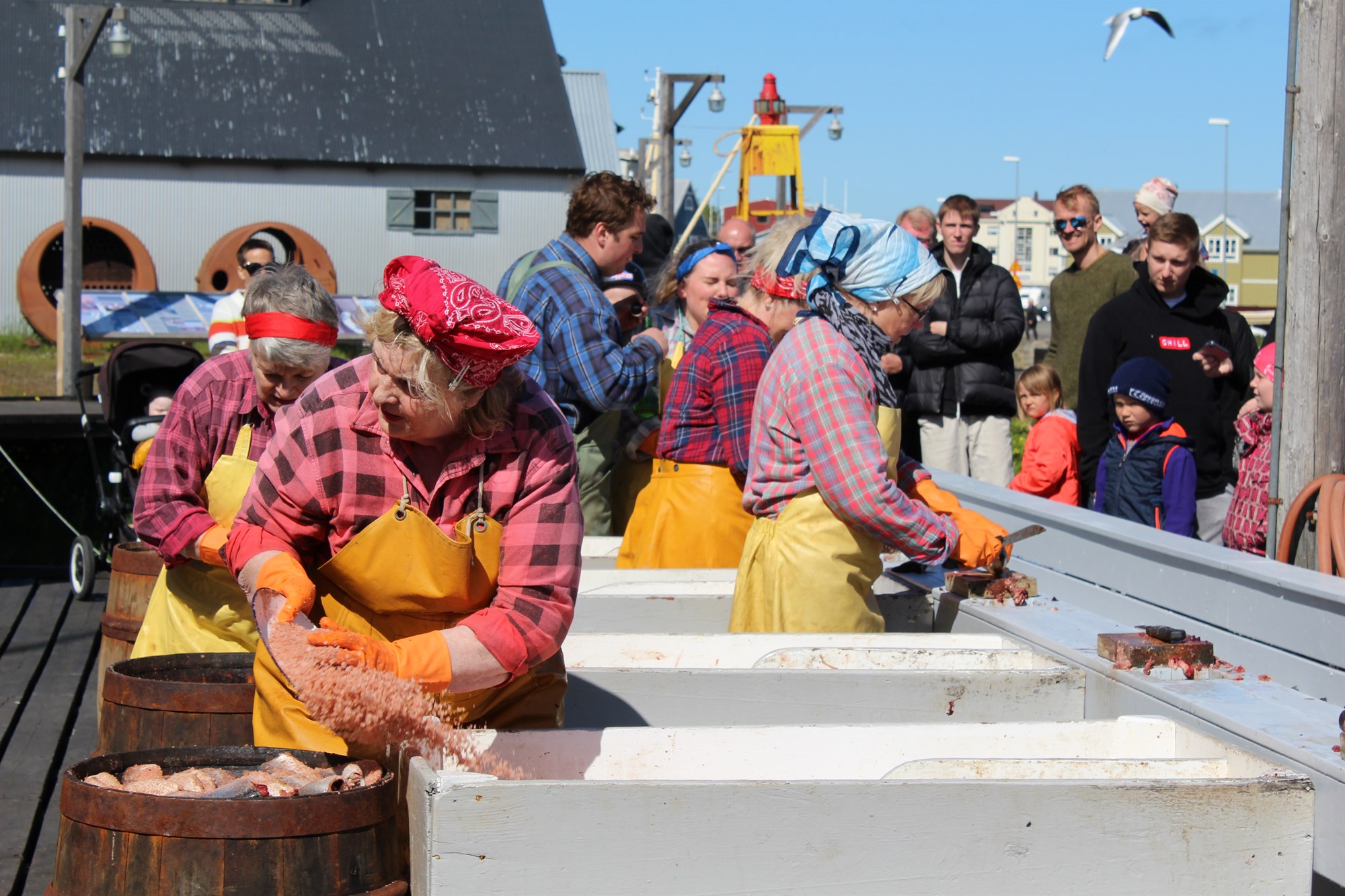 Líflegt hjá Síldarminjasafninu