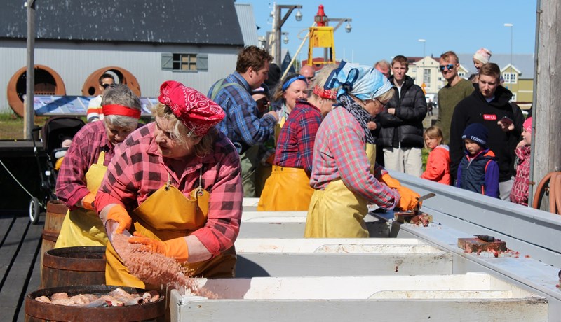 Líflegt hjá Síldarminjasafninu