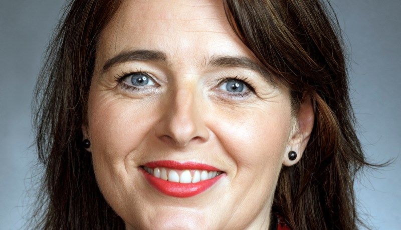 Eldsneyti framtíðarinnar – íslenskar orkujurtir