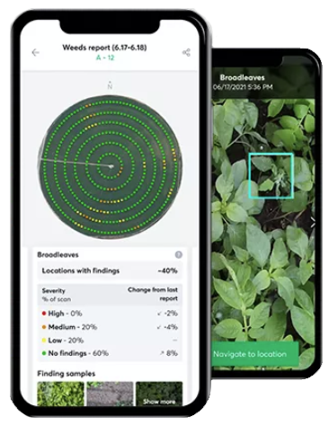 Áveituappið Insights