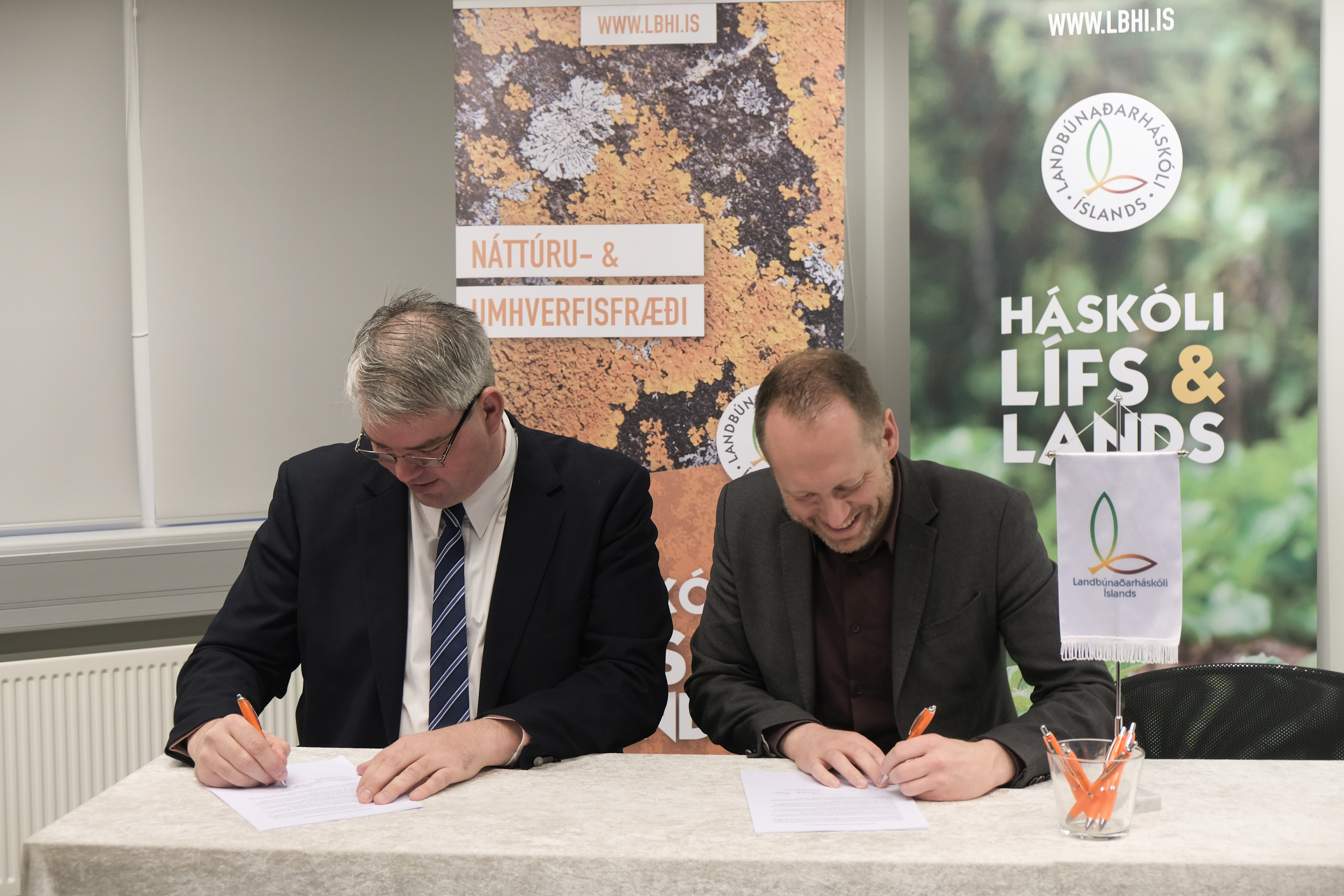 Nýtum 2019 til eflingar íslensks landbúnaðar