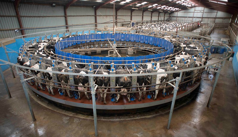 Lágt verð að sliga mjólkurframleiðendur á Bretlandseyjum