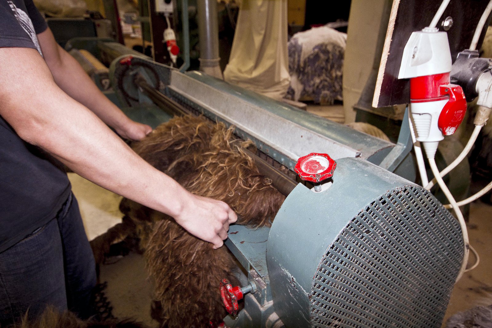 Bjartsýni á að takist að endurreisa Sjávarleður, Atlantic Leather