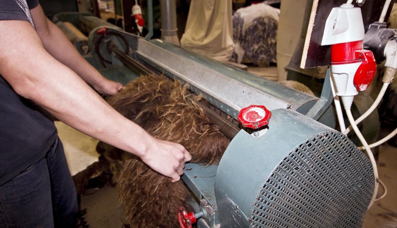 Bjartsýni á að takist að endurreisa Sjávarleður, Atlantic Leather